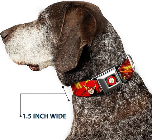 Dog Collar Seatbelt Buckle The Flash Boom Kaboom 15 to 26 Inches 1.0 Inch Wide in Saudi Arabia