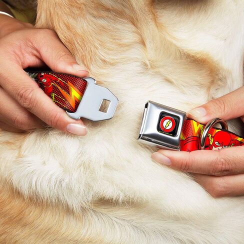 Dog Collar Seatbelt Buckle The Flash Boom Kaboom 15 to 26 Inches 1.0 Inch Wide in Saudi Arabia