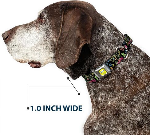 Dog Collar Seatbelt Buckle Electric Spongebob Poses Elements Black Multi Color 18 to 32 Inches 1.5 Inch Wide in Saudi Arabia