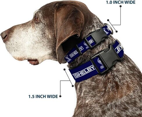 Buckle-Down Dog Collar Plastic Clip Shelby Box Logo and Super Snake Cobra Blue White 11 to 16.5 Inches 1.0 Inch Wide in Saudi Arabia