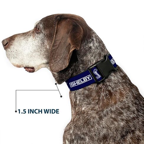Buckle-Down Dog Collar Plastic Clip Shelby Box Logo and Super Snake Cobra Blue White 11 to 16.5 Inches 1.0 Inch Wide in Saudi Arabia