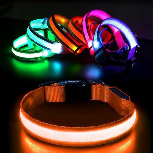 طوق كلب LED - طوق كلب مضيء قابل لإعادة الشحن للمشي ليلاً، طوق أمان للحيوانات الأليفة من النايلون قابل للتعديل مقاوم للماء مع شحن USB للكلاب الصغيرة والمتوسطة والكبيرة (أخضر، متوسط) in Kuwait