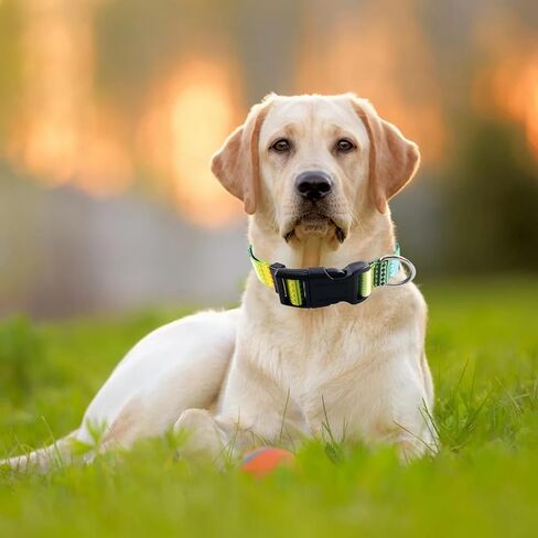 Dog Collar, Soft Adjustable Dog Collar with Bohemia Floral Geometric Patterns, Pet Collar for Small Medium Large Dogs (Bohemian Yellow+L) in Saudi Arabia