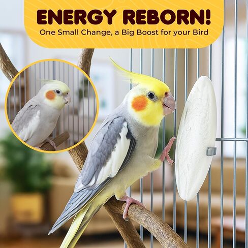 عظام غرب الأسماك الكبيرة الكبرى لل cockatiels ، السلاحف ، الروبيان ، مكملات الكالسيوم الكلب ، حامل القفص ، 2 قطع لكل عبوة in Saudi Arabia
