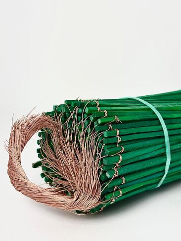 2.5 بوصة سلكية خشبية أخضر يختار زهور الخشب المختصرات (500 قطعة) in Kuwait