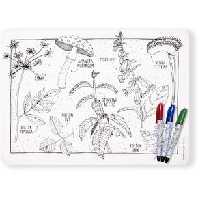 modern-twist 10 x 14" Reusable, Waterproof Coloring Mark-Mat Sheet for Kids, 100% Food-Grade Silicone, Pack of 1, Space Animals in Kuwait