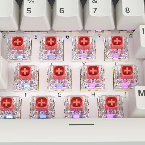 Kailh Box White Mechanical Keyboard Switches,3-Pin 45gf Clicky/Speed Typing/Gaming/Waterproof Switches(108Pcs,Kailh Box White) in Kuwait