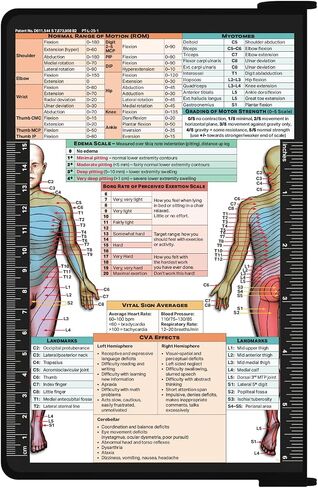 WhiteCoat Clipboard® - إصدار العلاج الطبيعي باللون الأزرق المخضر in Saudi Arabia