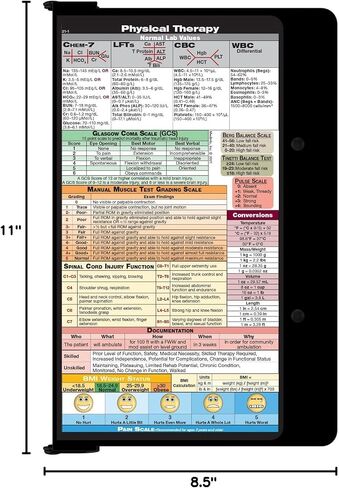 WhiteCoat Clipboard® - إصدار العلاج الطبيعي باللون الأزرق المخضر in Saudi Arabia