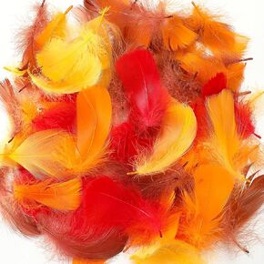 Lyrow 400 Pcs Fall Feathers, for Autumn, Thanksgiving Craft, Bright Color in Kuwait