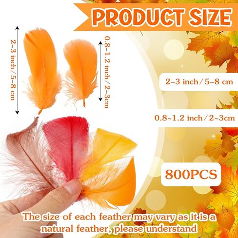 Lyrow 400 Pcs Fall Feathers, for Autumn, Thanksgiving Craft, Bright Color in Kuwait