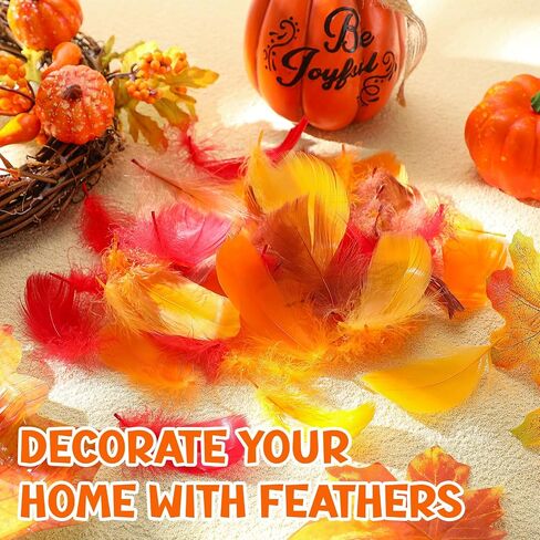 Lyrow 400 Pcs Fall Feathers, for Autumn, Thanksgiving Craft, Bright Color in Kuwait