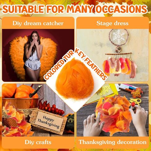 Lyrow 400 Pcs Fall Feathers, for Autumn, Thanksgiving Craft, Bright Color in Kuwait