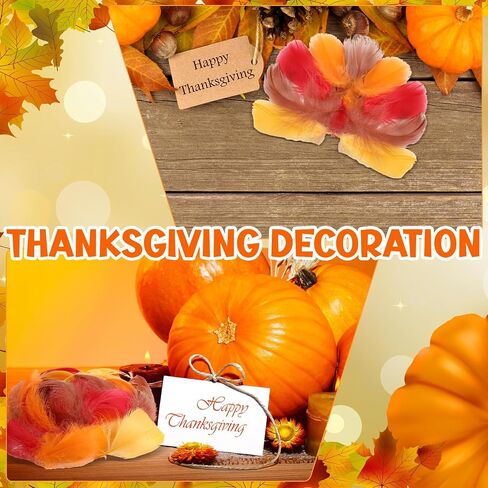 Lyrow 400 Pcs Fall Feathers, for Autumn, Thanksgiving Craft, Bright Color in Kuwait