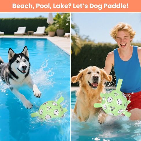 كرة كرة القدم للكلاب ، كرة كرة قدم دائمة مع الأشرطة ، ألعاب جلب الماء ، ألعاب الكلب في الهواء الطلق ، هدية عيد ميلاد جرو ممتع للكلاب الصغيرة والمتوسطة ، 6 بوصات in Kuwait