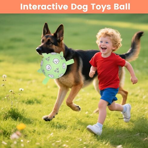 كرة كرة القدم للكلاب ، كرة كرة قدم دائمة مع الأشرطة ، ألعاب جلب الماء ، ألعاب الكلب في الهواء الطلق ، هدية عيد ميلاد جرو ممتع للكلاب الصغيرة والمتوسطة ، 6 بوصات in Kuwait