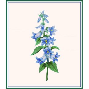 Orenco Originals Redoute's Blue Bell Flower Botanical Counted Cross Stitch Pattern