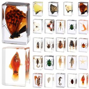 24 Styles Insect in Resin Specimen Butterfly Bugs Collection Paperweights,Real Bug Ocean Anima Specimen Bug Kit Preserved in Resin for Scientific Educational Office Desk Display Supplies (24)
