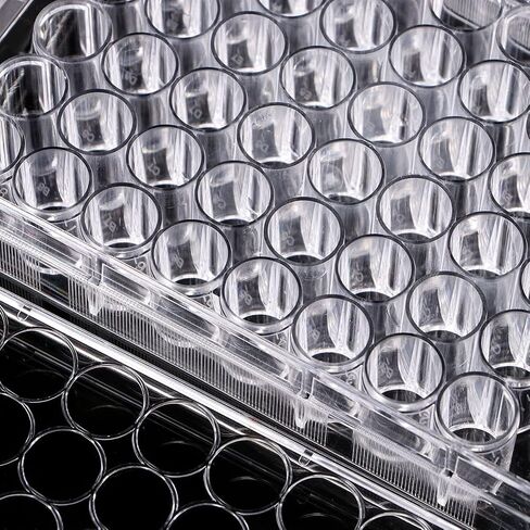 TEHAUX 48 Well Disposable Serving Tray Pill Filler Tray for Capsules for Lab Equipment Well Cap Tray Tissue Culture Plate Tissue Culture Kit Tool Tray Tools in Saudi Arabia