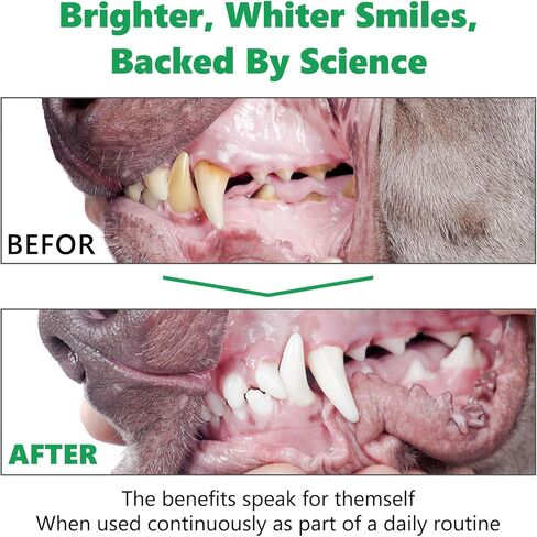 معطر نفس الكلاب، رذاذ أسنان منعش للكلاب، رذاذ أسنان الكلاب لسهولة التنظيف، رذاذ تنظيف أسنان الكلاب للتحكم في الجير في التنفس المنعش، علاج رائحة الفم الكريهة للكلاب والقطط (عبوة من قطعتين) in Kuwait