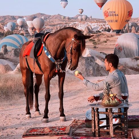 Premium Horse Blanket Sheet Leg Straps, 2 Pcs Adjustable 27.55" to 55" Length, Replacement Stretchy Belly Strap with Double Swivel Snaps in Kuwait