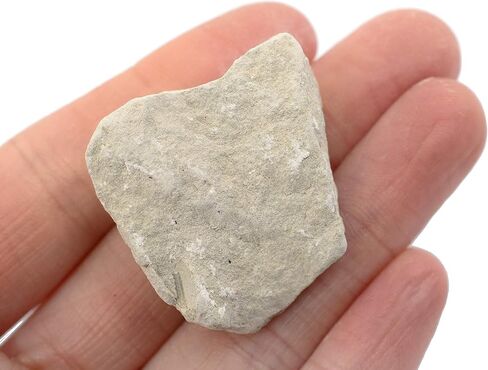 EISCO 6PK Raw Limestone Chalk, Sedimentary Rock Specimens - Approx. 1" - Geologist Selected & Hand Processed - Great for Science Classrooms - Class Pack Labs in Saudi Arabia
