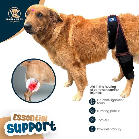 Dog Knee Brace Adjustable Front Hind Leg Brace for Cruciate Ligament Injury, Luxating Patella, Torn ACL in Saudi Arabia