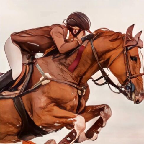 Havzoria Genuine Leather Paddle Riding Crop for Horses Equestrianism Crop with Anti-Slip Wooden Handle in Saudi Arabia