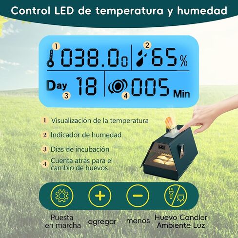 حاضنات تالابيد لتفريخ البيض، حاضنة البيض مع دوران تلقائي للبيض والتحكم في الرطوبة، 10 بيضات، شمع بيض منخفض الضوضاء لتفريخ الدجاج والبط والسمان والطيور in Kuwait