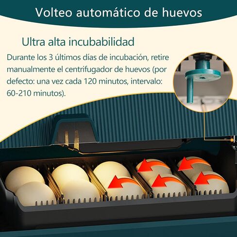 حاضنات تالابيد لتفريخ البيض، حاضنة البيض مع دوران تلقائي للبيض والتحكم في الرطوبة، 10 بيضات، شمع بيض منخفض الضوضاء لتفريخ الدجاج والبط والسمان والطيور in Kuwait