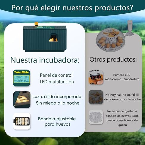 حاضنات تالابيد لتفريخ البيض، حاضنة البيض مع دوران تلقائي للبيض والتحكم في الرطوبة، 10 بيضات، شمع بيض منخفض الضوضاء لتفريخ الدجاج والبط والسمان والطيور in Kuwait