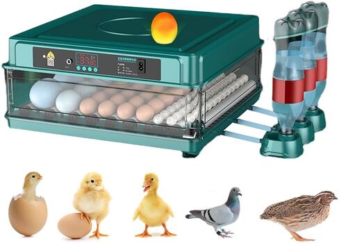 Automatic Egg Incubator 12-38 Egg Digital Poultry Hatcher Machine ith Automatic Egg Turning, Temperature & Humidity Control, Efficient LED Lighting for Chicken Geese Ducks Pigeons Quails (12 Eggs) in Kuwait