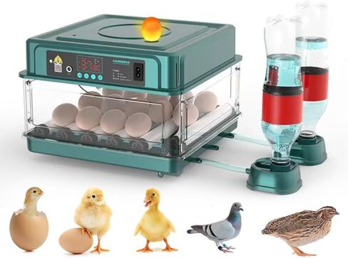 Automatic Egg Incubator 12-38 Egg Digital Poultry Hatcher Machine ith Automatic Egg Turning, Temperature & Humidity Control, Efficient LED Lighting for Chicken Geese Ducks Pigeons Quails (12 Eggs) in Kuwait