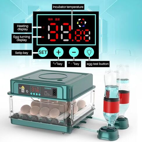Automatic Egg Incubator 12-38 Egg Digital Poultry Hatcher Machine ith Automatic Egg Turning, Temperature & Humidity Control, Efficient LED Lighting for Chicken Geese Ducks Pigeons Quails (12 Eggs) in Kuwait