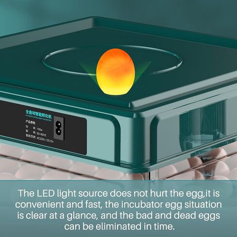 Automatic Egg Incubator 12-38 Egg Digital Poultry Hatcher Machine ith Automatic Egg Turning, Temperature & Humidity Control, Efficient LED Lighting for Chicken Geese Ducks Pigeons Quails (12 Eggs) in Kuwait