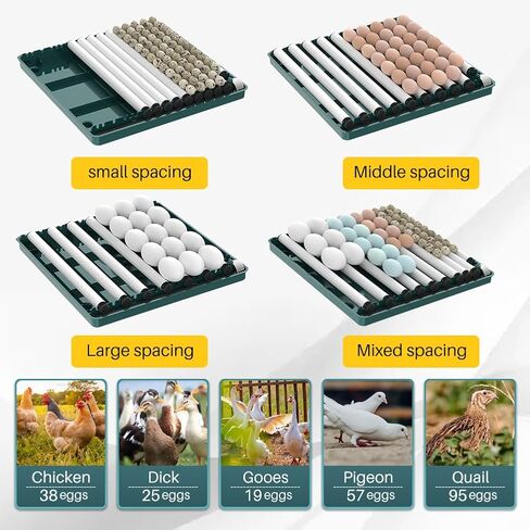 Automatic Egg Incubator 12-38 Egg Digital Poultry Hatcher Machine ith Automatic Egg Turning, Temperature & Humidity Control, Efficient LED Lighting for Chicken Geese Ducks Pigeons Quails (12 Eggs) in Kuwait