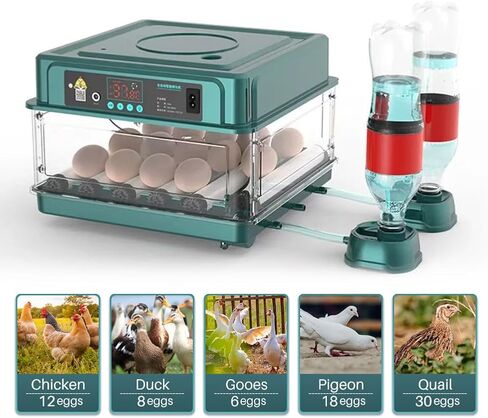 Automatic Egg Incubator 12-38 Egg Digital Poultry Hatcher Machine ith Automatic Egg Turning, Temperature & Humidity Control, Efficient LED Lighting for Chicken Geese Ducks Pigeons Quails (12 Eggs) in Kuwait