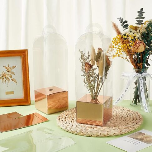 Benecreat 12pcs صندوق زهرة روز واحد حقيبة فارغة ، صناديق تعبئة الزهور الصافية صناديق هدايا زهرة للتخرج زفاف عيد ميلاد هدية الأزهار ترتيب تزويد ، أبيض in Kuwait