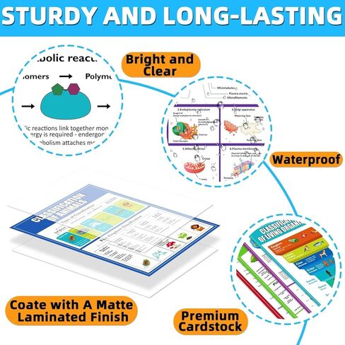 Eggsun 16 PCS النظم الإيكولوجية الملصقات العلمية لزخارف الفصول الدراسية للمدارس الثانوية ، 11 × 16 وعلم علم البيئة مخططات للمعلمين لوازم المدارس المتوسطة الدراسية ديكور الجدار in Kuwait