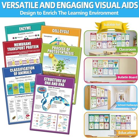 Eggsun 16 PCS النظم الإيكولوجية الملصقات العلمية لزخارف الفصول الدراسية للمدارس الثانوية ، 11 × 16 وعلم علم البيئة مخططات للمعلمين لوازم المدارس المتوسطة الدراسية ديكور الجدار in Kuwait