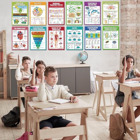 Eggsun 16 PCS النظم الإيكولوجية الملصقات العلمية لزخارف الفصول الدراسية للمدارس الثانوية ، 11 × 16 وعلم علم البيئة مخططات للمعلمين لوازم المدارس المتوسطة الدراسية ديكور الجدار in Kuwait