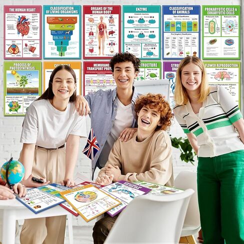 Eggsun 16 PCS النظم الإيكولوجية الملصقات العلمية لزخارف الفصول الدراسية للمدارس الثانوية ، 11 × 16 وعلم علم البيئة مخططات للمعلمين لوازم المدارس المتوسطة الدراسية ديكور الجدار in Kuwait