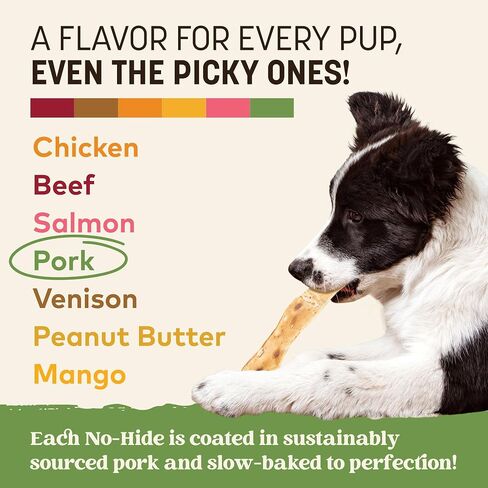 Earth Animal No-Hide Strips Beef Recipe Natural Rawhide Alternative Dog Chew Treat - 10 Count Value Pack in Saudi Arabia