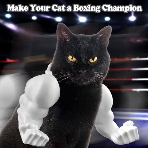 سلاح عضلات القطط المضحكة ، ذراع رقبة القط ثلاثية الأبعاد مع العضلات ، ملحق أزياء القطط في عيد الهالوين للباس الحيوانات الأليفة ، تأثيري ، حفلات وصور (أسود) in Kuwait