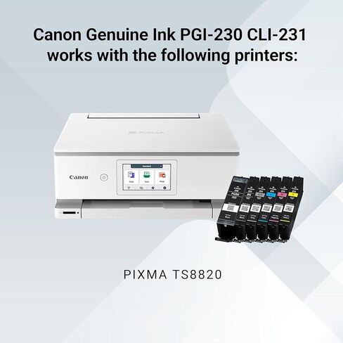 مجموعة حبر Canon PGI-230/CLI-231، متوافقة مع طابعات PIXMA TS8820 اللاسلكية in Saudi Arabia