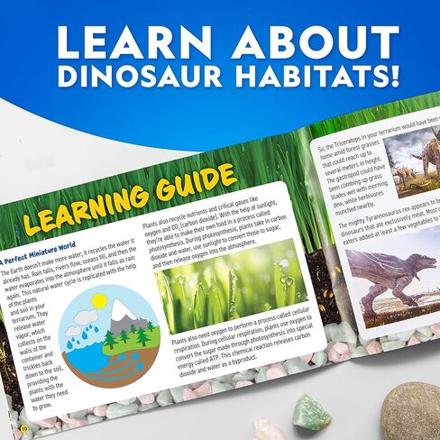 مجموعة أدوات تررم الديناصورات المضيئة من ناشيونال جيوغرافيك للأطفال - قم ببناء موطن ما قبل التاريخ باستخدام رمال اللعب والأحجار الكريمة الحقيقية وأشكال الديناصورات، ومجموعة الأنشطة العلمية للأولاد والبنات in Kuwait
