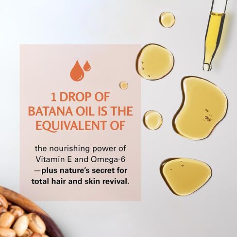 M3 Naturals زيت Batana لنمو الشعر والجلد-الدكتور Sebi 100 ٪ نقي ، غير مكرر وبارد من هندوراس-للشعر الأكثر سمكا ، خيوط أقوى والجلد الأكثر سلاسة-نباتي ، غير المعدلة وراثيا-2 fl oz in Kuwait