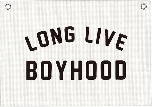LIVE BOYHOOD BOYS BOYS ROOM PLAYROURE DECER in Kuwait