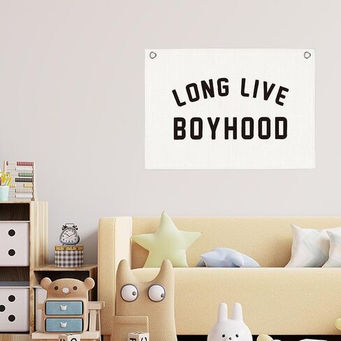 LIVE BOYHOOD BOYS BOYS ROOM PLAYROURE DECER in Kuwait