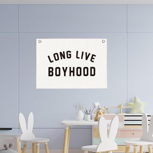 LIVE BOYHOOD BOYS BOYS ROOM PLAYROURE DECER in Kuwait